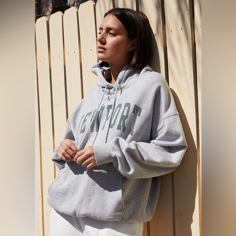 PacSun gray John Galt Newport hoodie. 1 size fits most. Like New